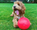 Boomer Ball - Red