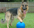 Boomer Ball - Blue