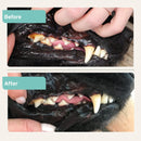 AniForte Dental Powder For Dogs & Cats