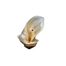 Anco Naturals Dog Treats - Meaty Cow Ears - Pet Shop Online