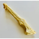 Anco Naturals Goat Feet - Pet Shop Online