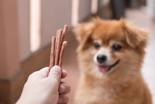 4 things to look out for when shopping for dog treats