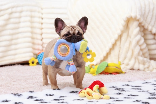 Top 5 benefits of indestructible dog toys