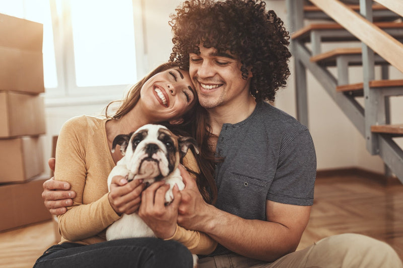 Essential new puppy checklist