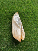 Buffalo Ear (Small)