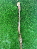 Full Length Pizzle Stick