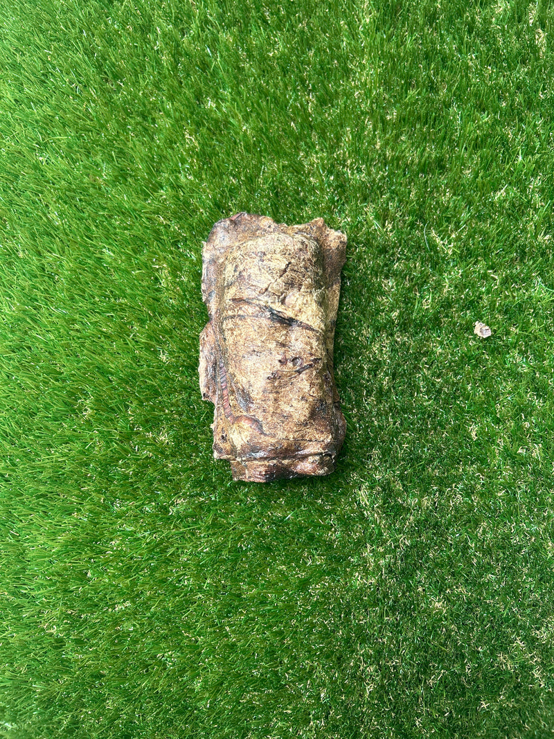 Buffalo Trachea wrapped in Buffalo Lung