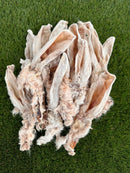 Rabbit Ears With Hair