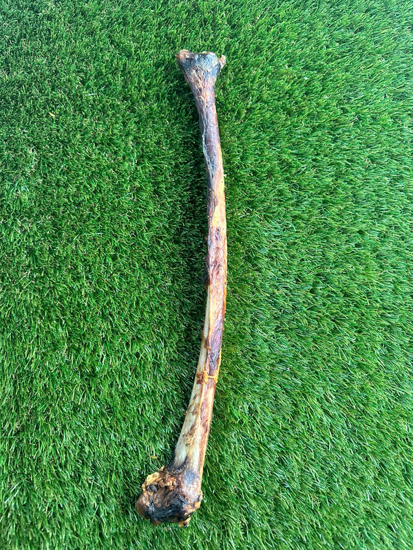 Ostrich Wing Dog Chew