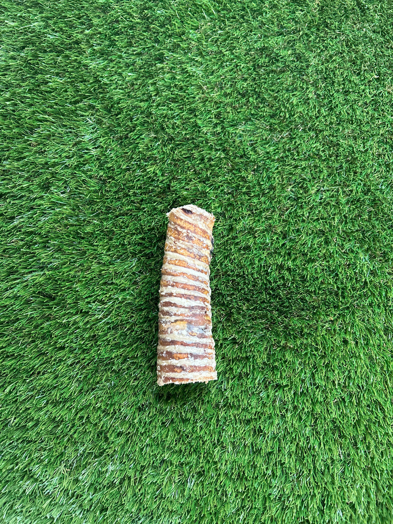 Buffalo Trachea (12-15 cm)