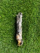 XL Cod Fish Skin