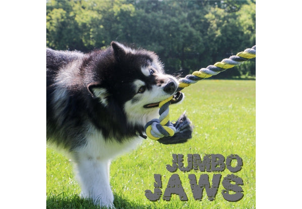 Ancol Jumbo Jaws Super Rope