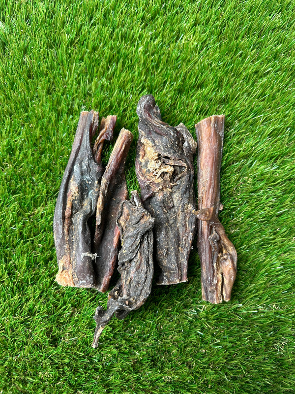 Nova Camel Tripe - 100g