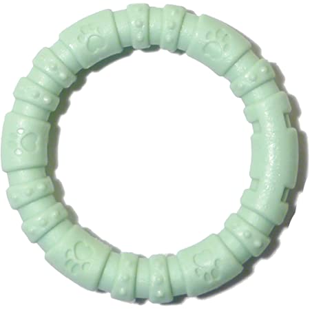 Rosewood Tough Toys Nylon Dog Chew Ring - Mint