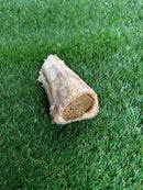 T Forrest Peanut Filled Buffalo Bone - Medium