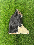 Hairy Bully Headskin