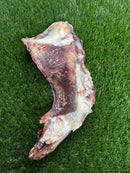 Burns Full Moon Bone
