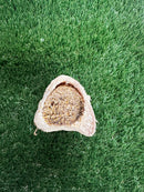 T Forrest Peanut Filled Buffalo Bone - Medium