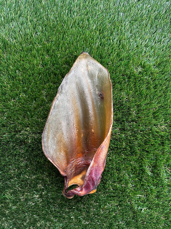 Buffalo Ear with Meat