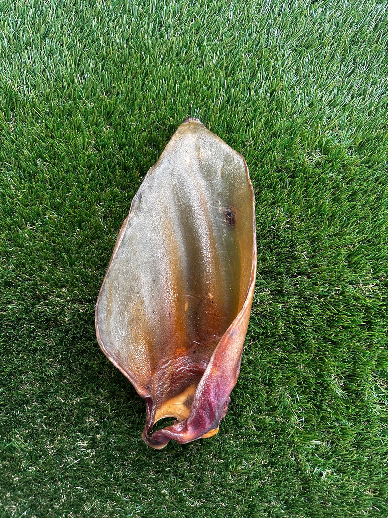 Buffalo Ear with Meat