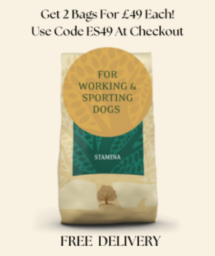 Essential Foods Stamina - Working Dog 10kg