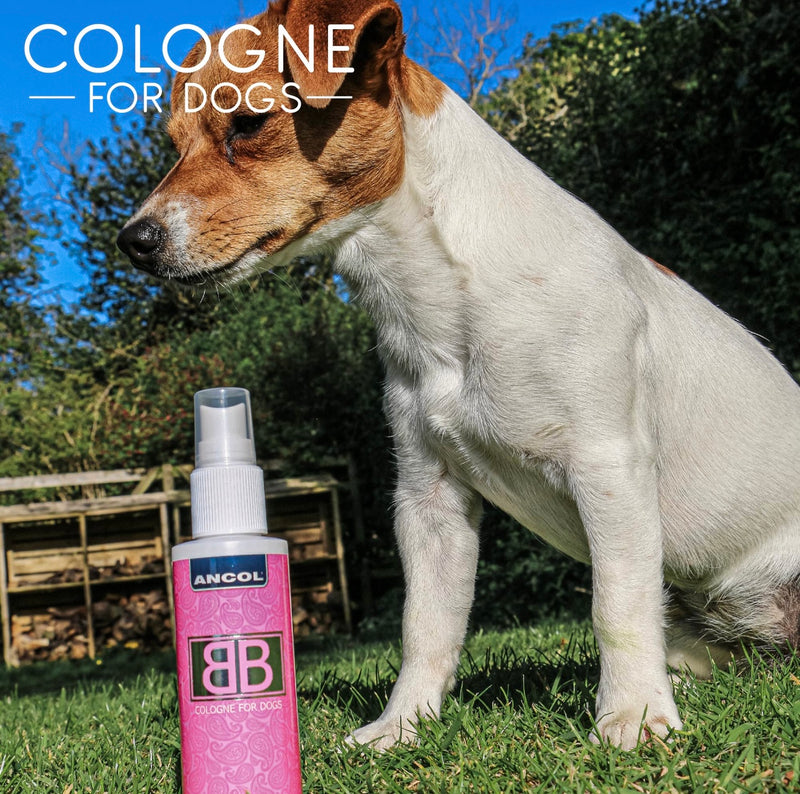 Ancol Dog Cologne - Baby Powder