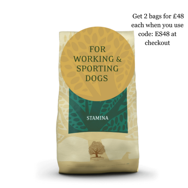Essential Foods Stamina - Working Dog 10kg