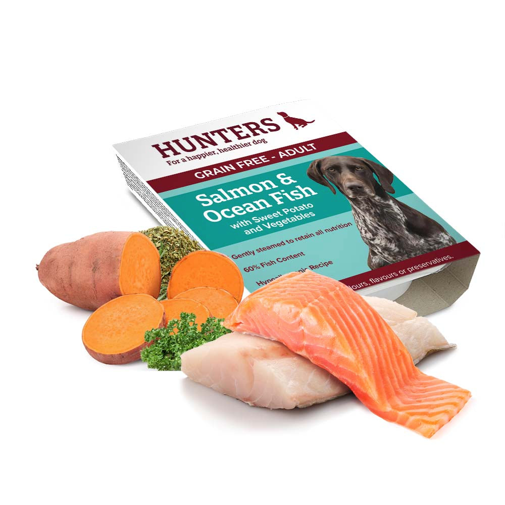 Hunders Food Hunters Wet Dog Food - Salmon, Ocean Fish & Sweet Potato