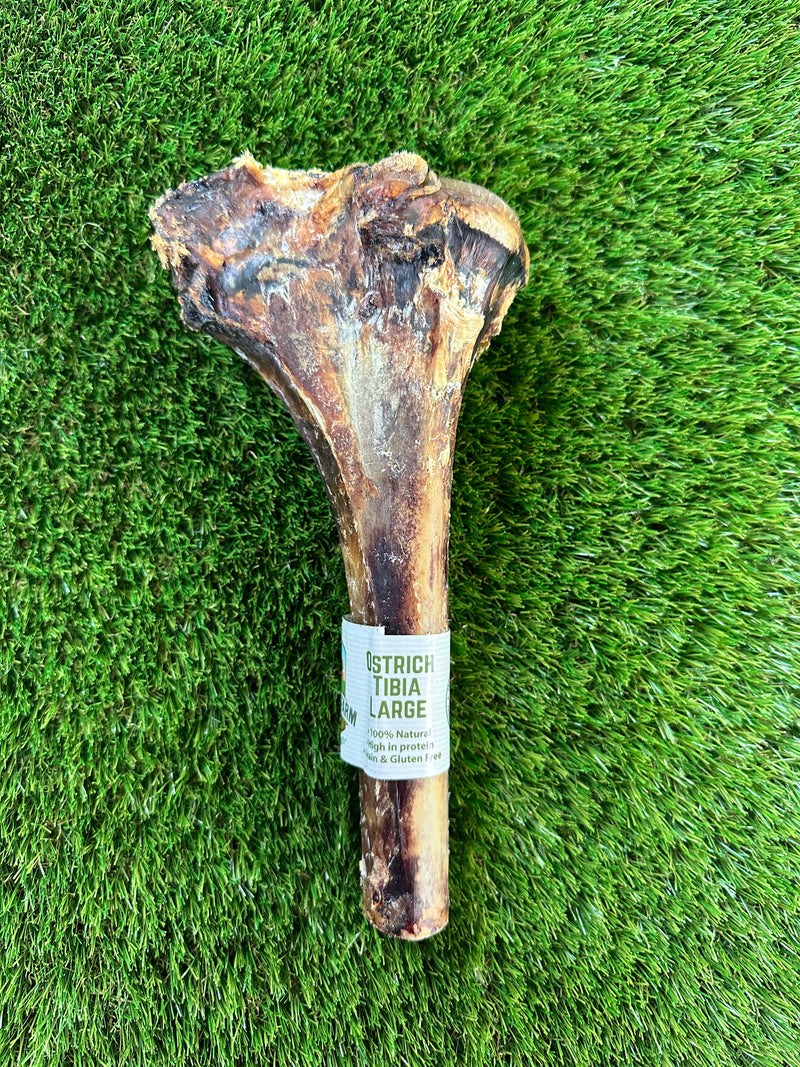 Nova Ostrich Tibia Large