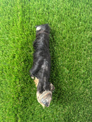 Anco Naturals Hairy Leg Roll