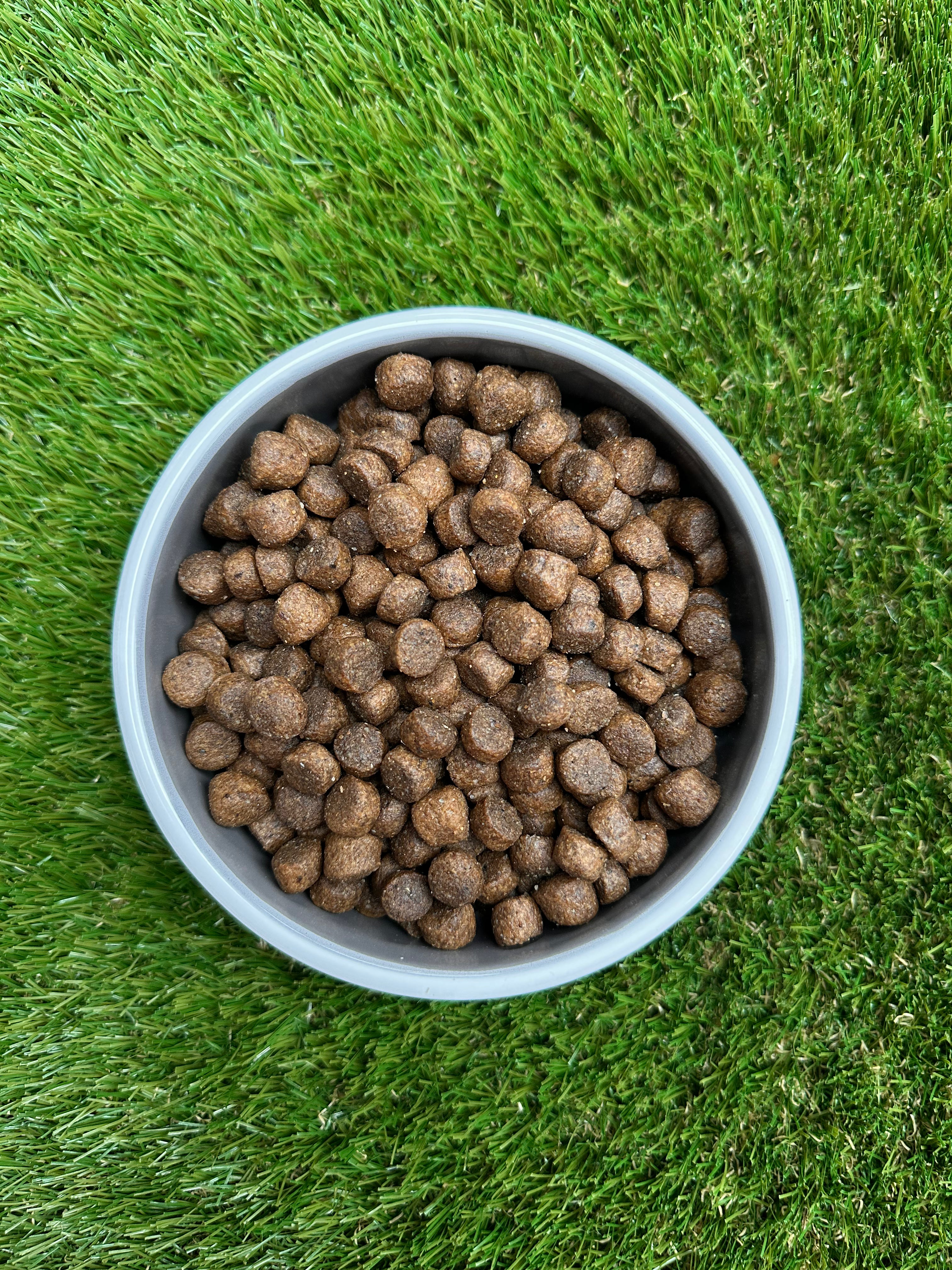 Hunders Food Hunters Super Premium Dry Food - 75% Fish Variety