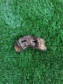 Hunters Treats Natural Pig Snout