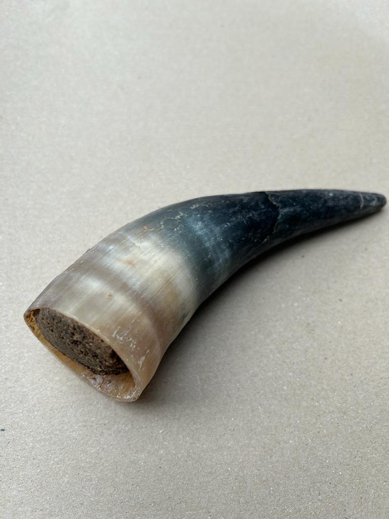 Buffalo Filled Horn - Single