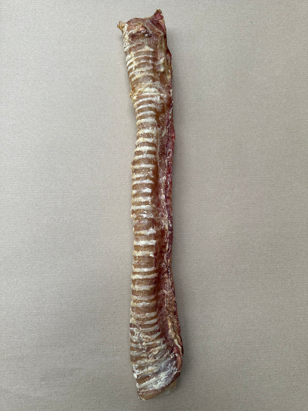 Full Length Cow Trachea (45-50cm)