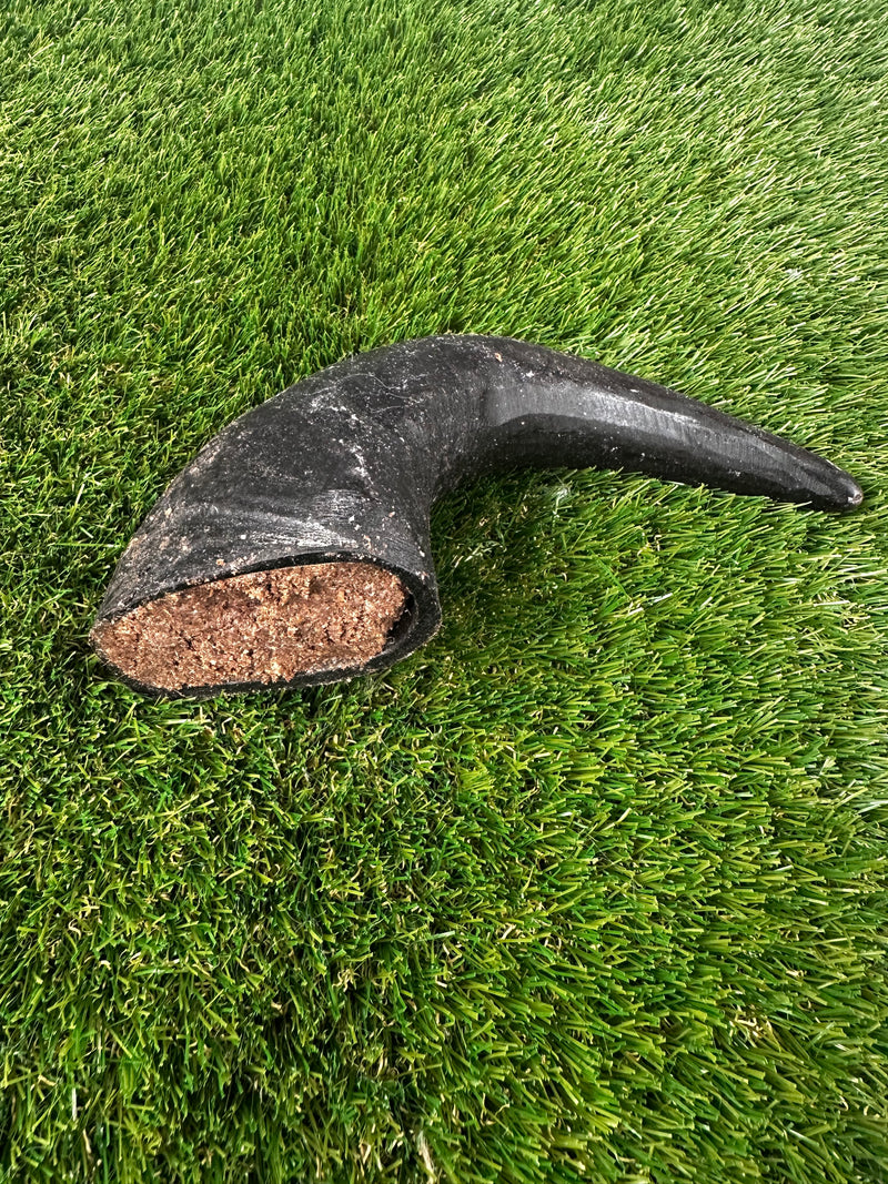Meat Filled Buffalo Horn
