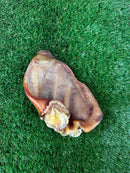 Premium Natural Pigs Ear