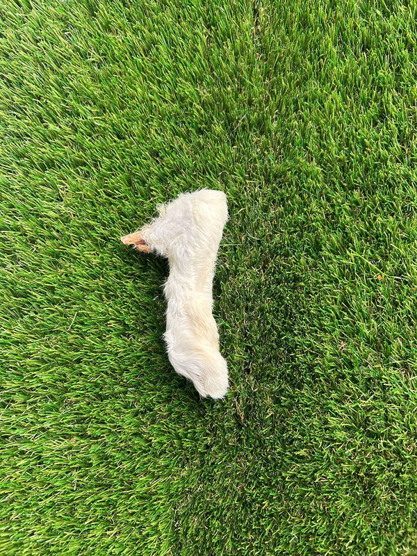 Anco Naturals - Hairy Rabbit Foot (Single)