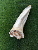 Meaty Natural Cow Ear