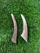 100% Natural Antler Dog Chew - Small