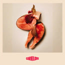 Carnilove Adult Large Breed Salmon & Turkey 12kg