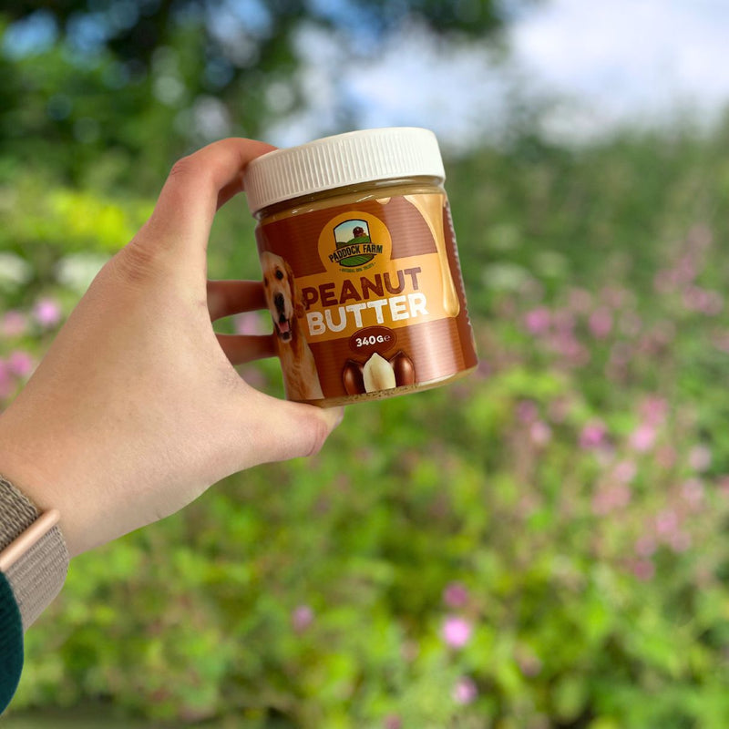 Nova Peanut Butter for Dogs - 340g