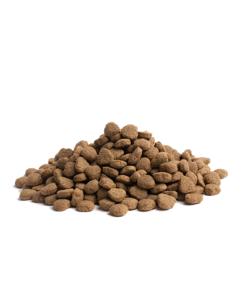 Essential Foods Balance - Working Dog 10kg