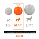 Bionic Ball Dog Toy - Medium