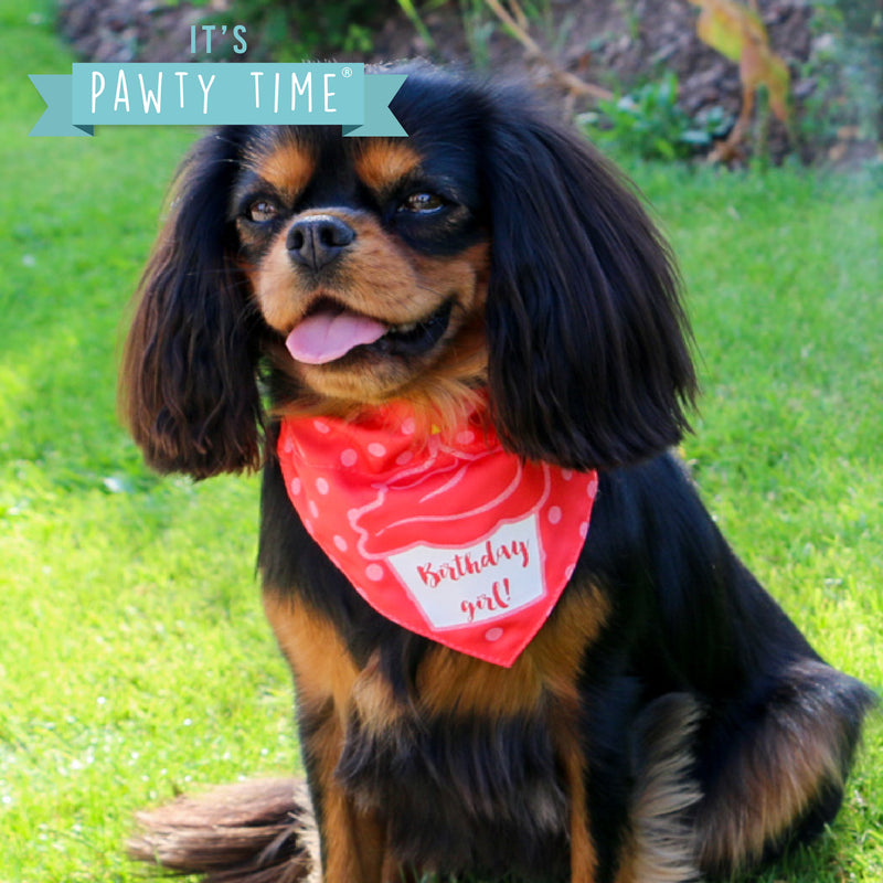 Birthday Girl Bandana & Hat For Dogs