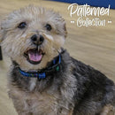 Ancol Tartan Dog Collar - Blue