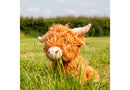 Ancol Hertiage Fergus Highland Cow