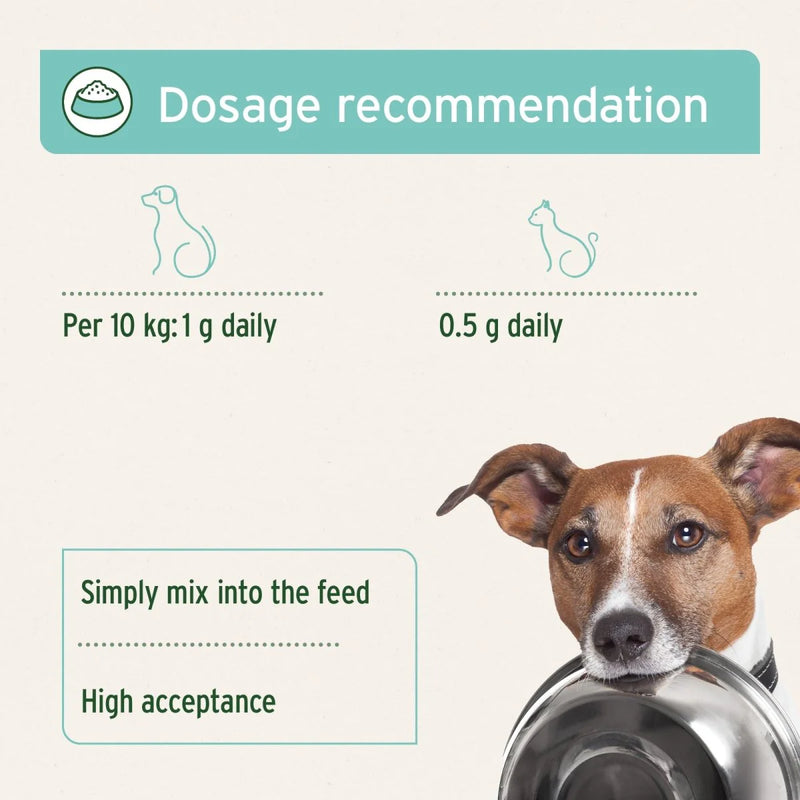 AniForte Dental Powder For Dogs & Cats
