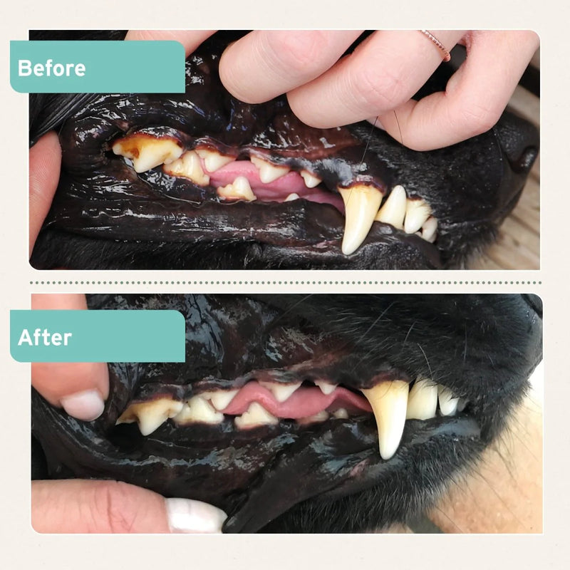 AniForte Dental Powder For Dogs & Cats