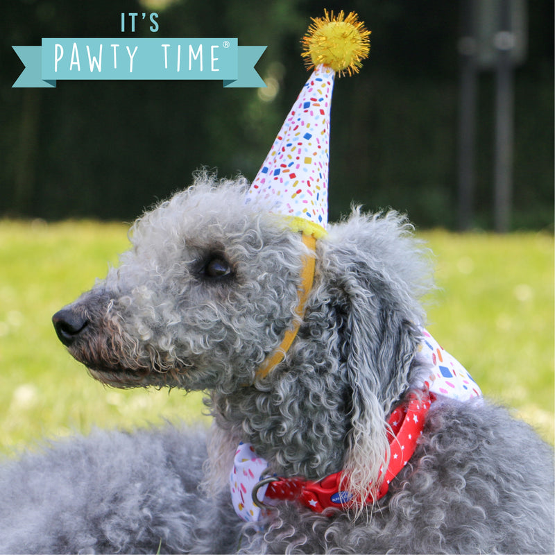 Happy Birthday Bandana & Hat - Sprinkle For Dogs
