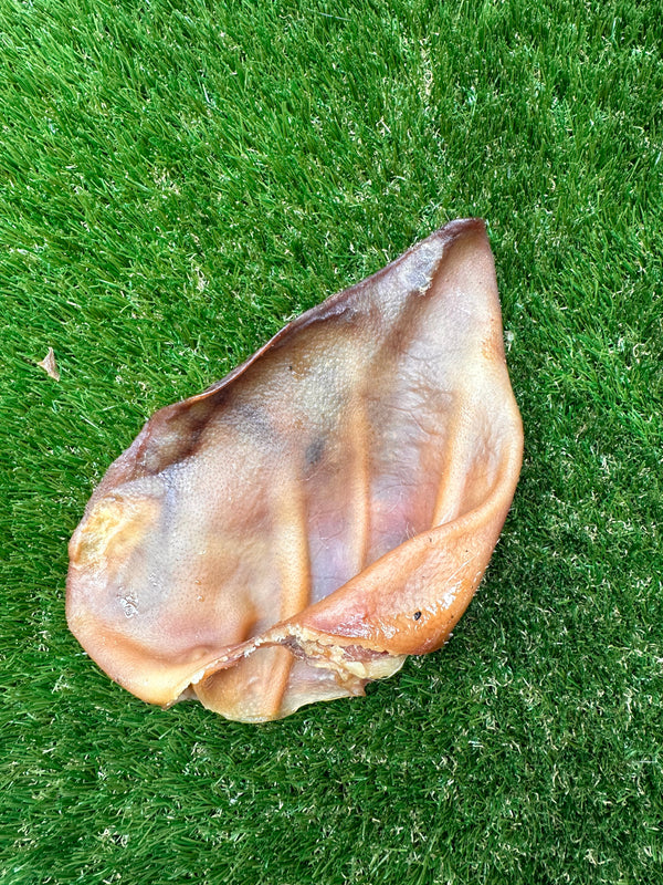 Natural Pigs Ears